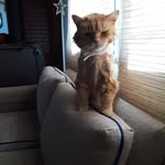 Virginia Hampton - @virginia_hampton - Instagram