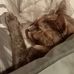 Virginia Hanson - Facebook