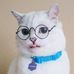 Virginia Hanson - Facebook
