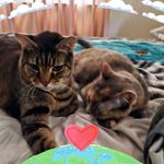 Virginia Hanson - @hansonvirginia481 - Instagram