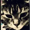 Virginia Hatfield - @virginia.hatfield4 - TikTok