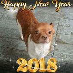 Virginia Walker Hatfield - @virginia.hatfield.906 - Instagram