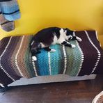 Virginia Heller - Facebook