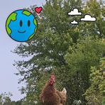 Virginia Ross Heller - Facebook