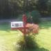 Virginia Jarrett Childers - Facebook