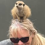 Virginia Lester - @virginialester99 - Instagram