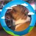 Libby - Facebook