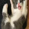 libbyzvirginiat - @libbyzvirginiat - TikTok