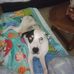 Virginia Locklear - Facebook