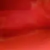 virginia lott - @virginialott - TikTok