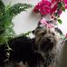 Virginia Luna - Facebook
