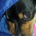 Virginia Mabe - Facebook