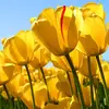 Virginia Mabe - @virginia.mabe1 - TikTok