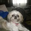virginiamcclellan00 - @virginiamcclellan00 - TikTok
