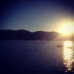 Virginia McCombs - @frogiaread - Instagram