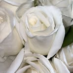Virginia McCormack - Facebook