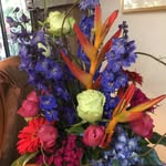 Virginia McGraw - @virginia.mcgraw.30 - Instagram