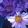 🩵  th3_b3st_V 💜 - @meet_virginia_39 - TikTok