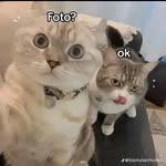 Meredith Virginia Rocha Huerta - @meredithvirginiarocha - Instagram