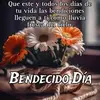 Rosacarmina - @virginia.merida - TikTok