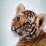 Virginia Mort - @mortvirginia - Instagram