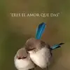 virginiamort1 - @virginiamort1 - TikTok
