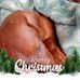 Virginia Mounts - Facebook