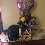 Virginia Munson - Facebook