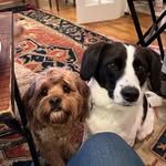 Virginia O'Brien - @virginia.obrien.165 - Instagram