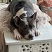 Virginia Oneill - Facebook