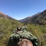 Virginia Lakes Pack Outfit - @virginialakes.packoutfit - Instagram