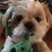 Virginia Dean Breedlove Padgett - Facebook