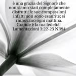 Virginia Perri - @virginia.perri.58 - Instagram