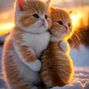 Virginia pledger - @virginia.pledger - TikTok