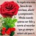 Virginia Pompa - Facebook
