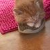 Virginia Porter - Facebook