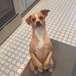 Virginia Porter - @portervirginia - Instagram