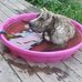 Helen Proper - Facebook