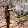 Virginia_Prepper - @virginia_prepper - TikTok
