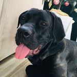 Virginia Redmond - @gracie_and_june - Instagram