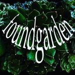 Virginia Riley - @foundgarden - Instagram
