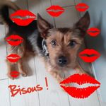 Virginia Roach - @virginia.roach.771 - Instagram