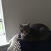 Vvirginia Rohrer - Facebook