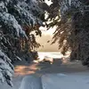 Virginia Sampson - @virginia.sampson5 - TikTok
