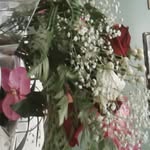 Virginia Samuel - @virginia.samuel.142 - Instagram