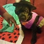 Virginia Scates - @scatesvirginia - Instagram