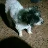 Virginia Sequeira - @virginia.sequeira4 - TikTok