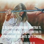 Virginia Sequeira - Facebook