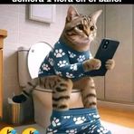 Virginia Sequeira - Facebook
