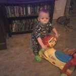Virginia Purkey - @sheppard.virginia - Instagram